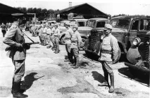 Стратагема «довірити вівцю вовку» вона