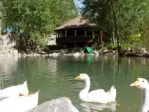 Будуємо Алмати зі спогадів - Сторінка 77 - Загальна - Всі Разом алмати