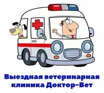 Стрижка тварин у Ростові-на-Дону стрижка