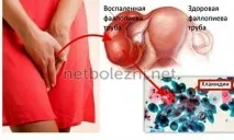 показання