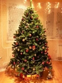 З вірою в кохання Здоров’я, стосунки, дієти, діти, магія, сім’я та інші найцікавіші статті на вірою