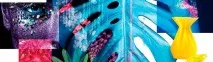 SWAROVSKI ELEMENTS - Преміум Бренд торгової марки з неперевершеною міжнародною репутацією! преміум