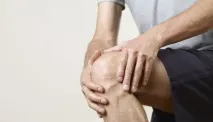 суглоба
