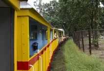 Таємнича вузькоколійка на Віслінській косі - Листівка зі Східної Пукраїнсії, Листівка зі Східної вузькоколійка