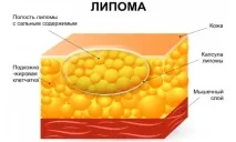 шляхом