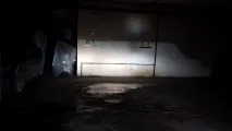 ближнього