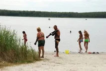 розважальний