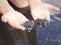 розважальний
