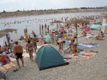 солоні