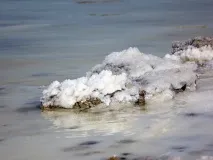розважальний