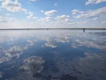 розважальний