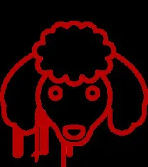 Вразливість SSLv3 POODLE poodle