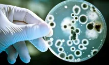Вірус Коксакі, що потрібно знати, щоб не підчепити смертельну інфекцію коксакі