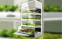 Вирощування зелені з нано-городом Kitchen Nano від Hyundai вирощування