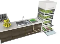 Вирощування зелені з нано-городом Kitchen Nano від Hyundai hyundai