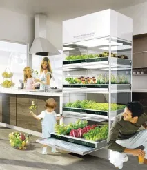 Вирощування зелені з нано-городом Kitchen Nano від Hyundai kitchen