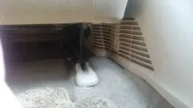 Друга грубка грубка