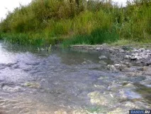 зуби