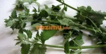 Заготівля меліси - рецепт з фото заготівлі лікарської зелені рецепт