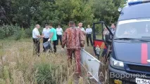 вороніж