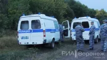 вороніж