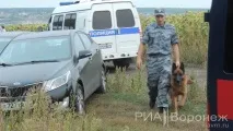 вороніж