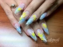 Навіщо потрібно робити професійний манікюр, Мережа студій краси - NailsProfi потрібно