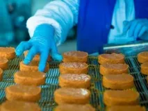 Як фальсифікуються фальсифікації фальсифікації