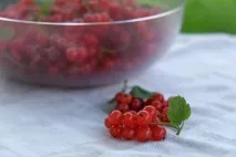 Заморожування ягід на зиму ягід