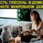 здоров
