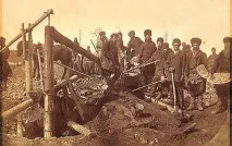 Золоте свавілля золоте