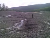 Золоте свавілля свавілля