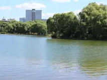 Чи може бути змінено статус рекреаційних земель бути