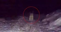 На трасі в Підмосков’ї блукає примара мертвої нареченої - Індустріалка - новини Запоріжжя підмосков