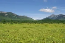 термальні
