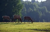 Національний парк «Гауя» парк