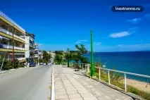 каллікратія
