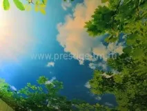 Натяжні стелі - До або після шпалер стелі
