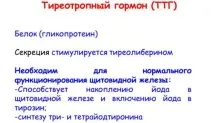 Норма ТТГ у жінок за віком віком