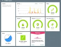 Огляд фітнес-браслету Fitbit Flex fitbit