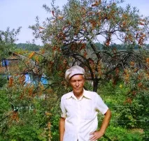 розмноження