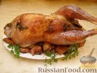У духовці, Індичка фарширована, рецепти з фото на 33 рецепти індичка