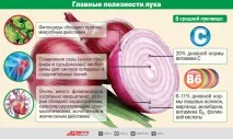 Від раку, для серця і при діабеті чим корисна цибуля і як її готувати, Правильне харчування, Здоров’я цибуля