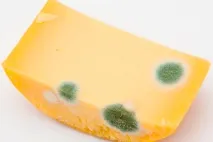 Отруєння сиром симптоми, лікування, перша допомога, що робити лікування