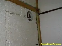 Перепілки у квартирі перепілок
