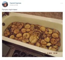 області