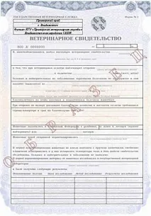 Перевезення коней, оформлення ветеринарного свідоцтва, перевезення коней, вивезення коней із РФ, коней