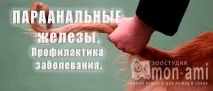 Параанальні залози параанальні