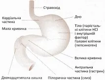 травлення