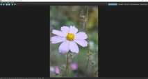 Чому фотографії завантажуються горизонтально в щоденник Як повернути фото, Brave Defender фотографії